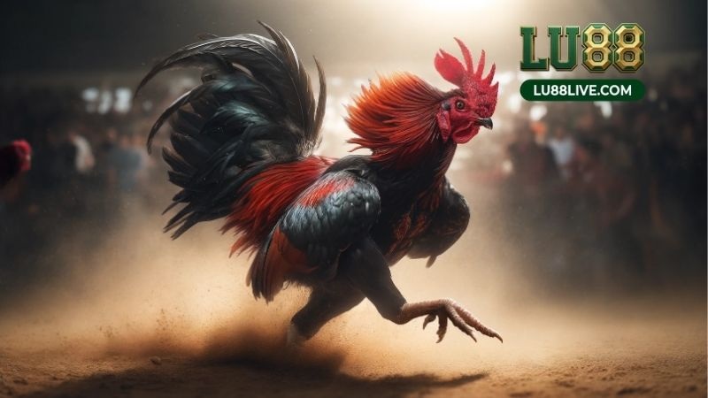 Đá Gà Cựa Sắt